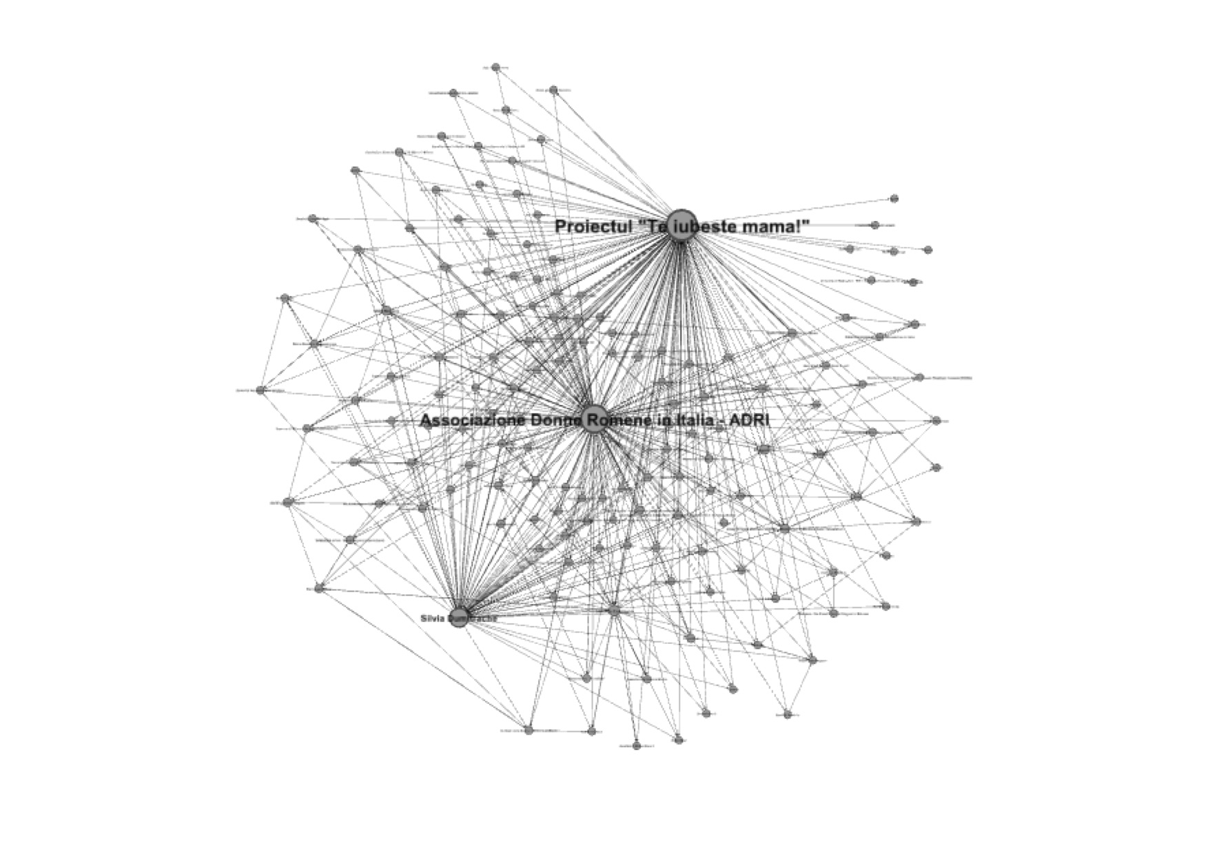 Picture of network TIM copy