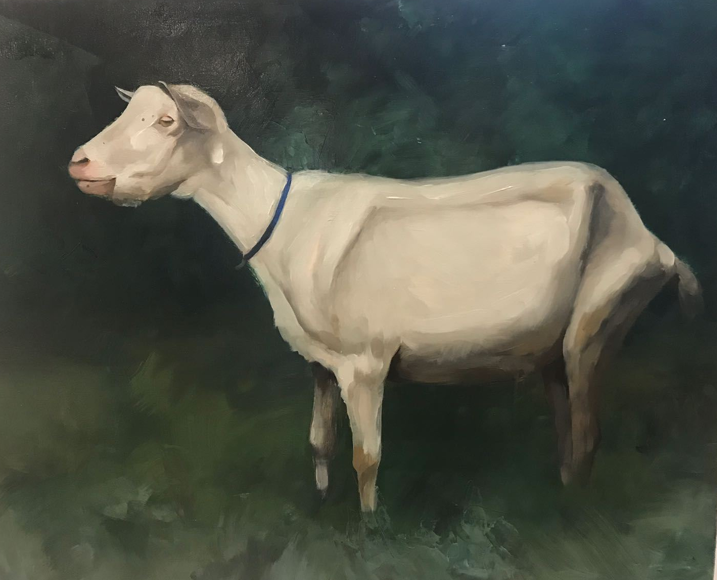 5104e1e1-b562-4ea6-8944-68867f4ef6c3